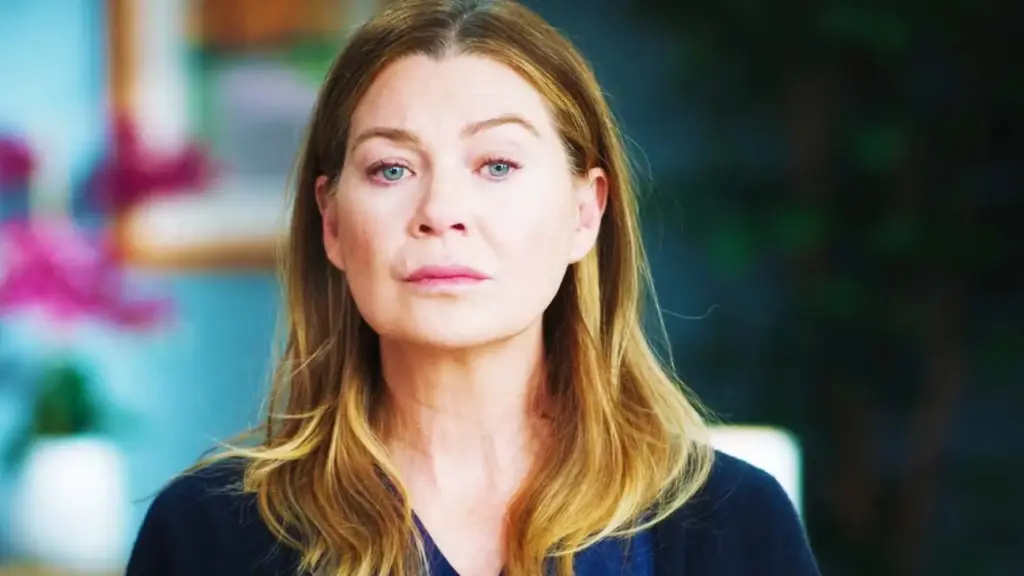 Ellen Pompeo Grey's Anatomy 22 temporada