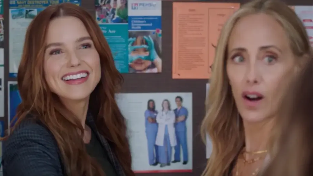 Grey's Anatomy Sophia Bush 22 temporada
