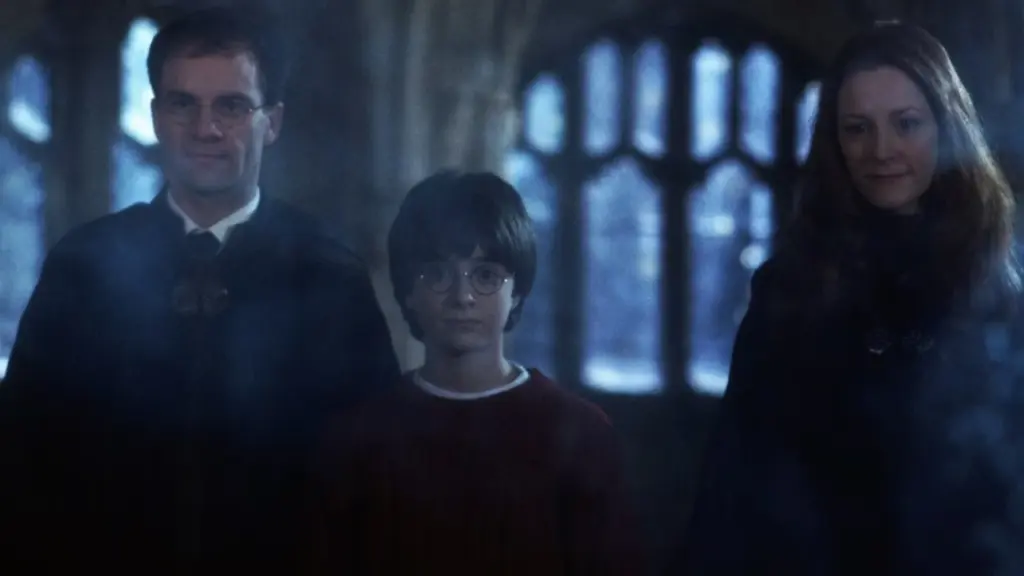 Harry Potter teoria