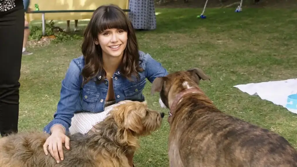 Nossa Vida com Cães filme