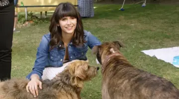 Nossa Vida com Cães filme