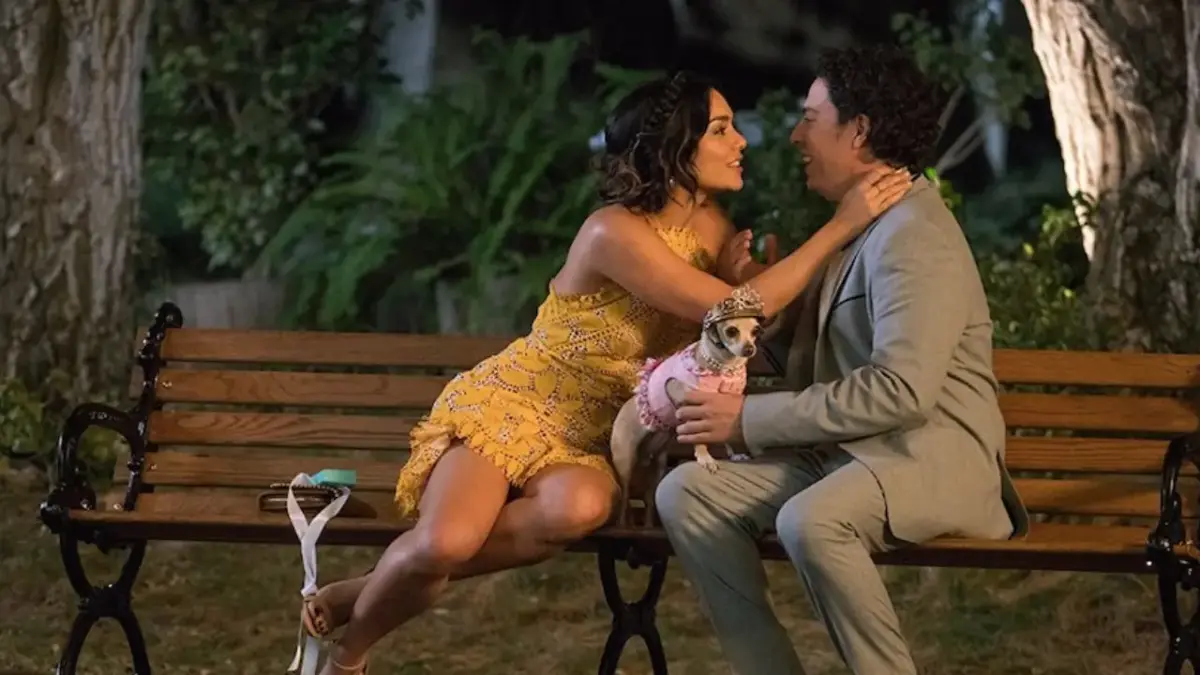 Nossa Vida com Cães | Entenda a HISTÓRIA do filme e o seu significado - 1 Nossa Vida com Cães filme