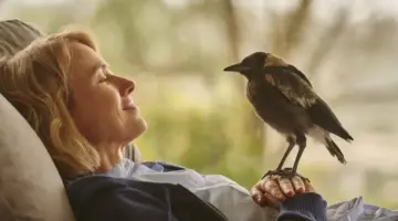 um milagre inesperado filme verdade mentira