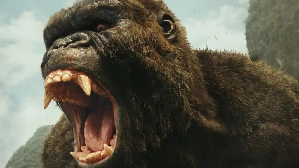 kong: a ilha da caveira final do filme