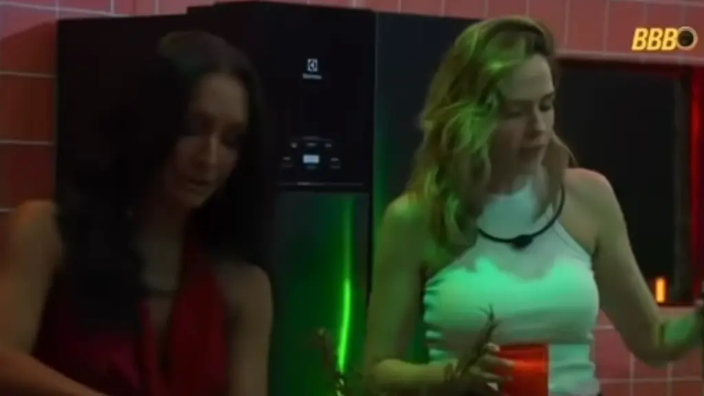 ana paula maxiane briga bbb
