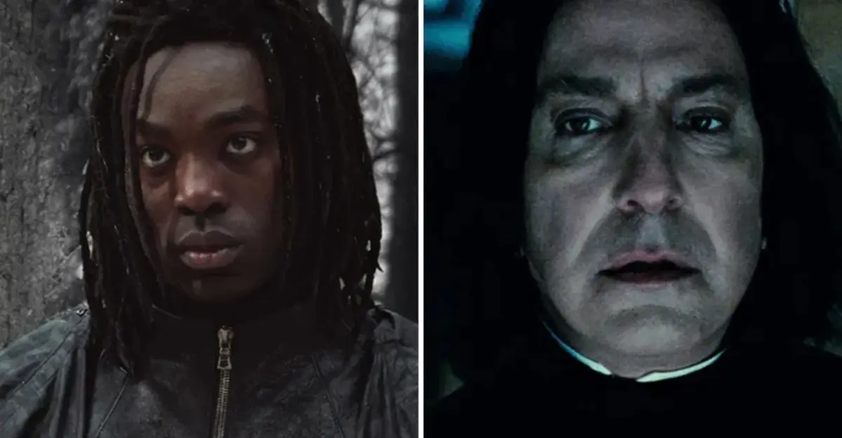 Harry Potter 11 - Harry Potter ELENCO | quem é quem na série da HBO