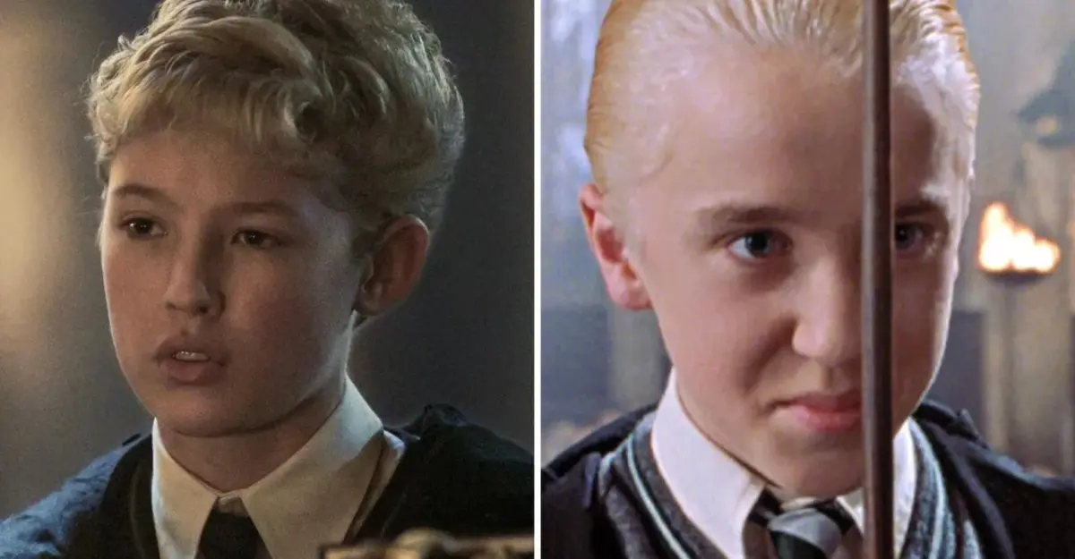 Harry Potter 7 - Harry Potter ELENCO | quem é quem na série da HBO