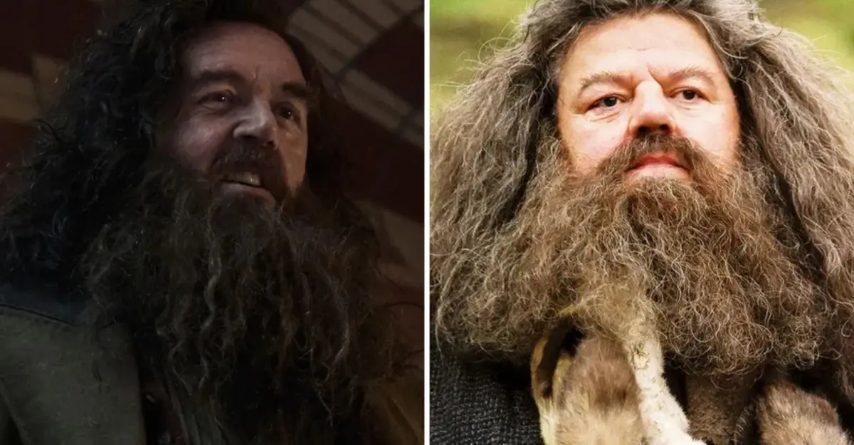 Harry Potter 9 - Harry Potter ELENCO | quem é quem na série da HBO