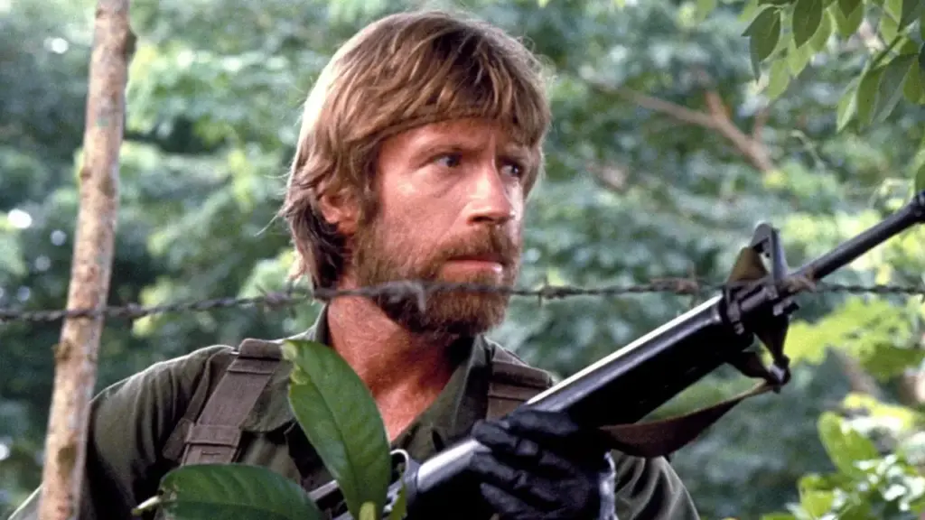 chuck norris homenagem