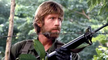chuck norris homenagem