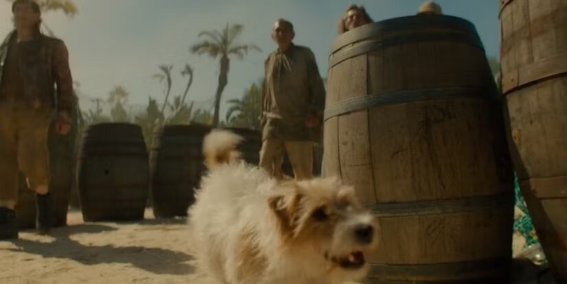 image 3 9 - One Piece | 15 easter eggs escondidos na 2ª temporada