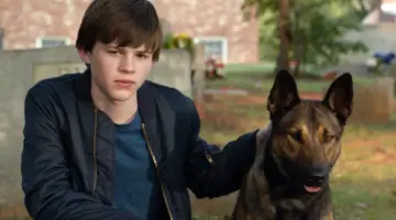 max: o cão heroi filme vale assistir