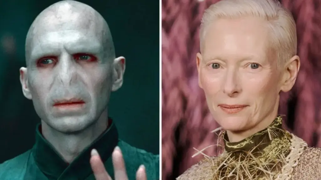 Harry Potter Voldemort
