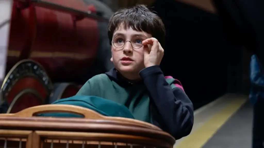 Harry Potter especial HBO