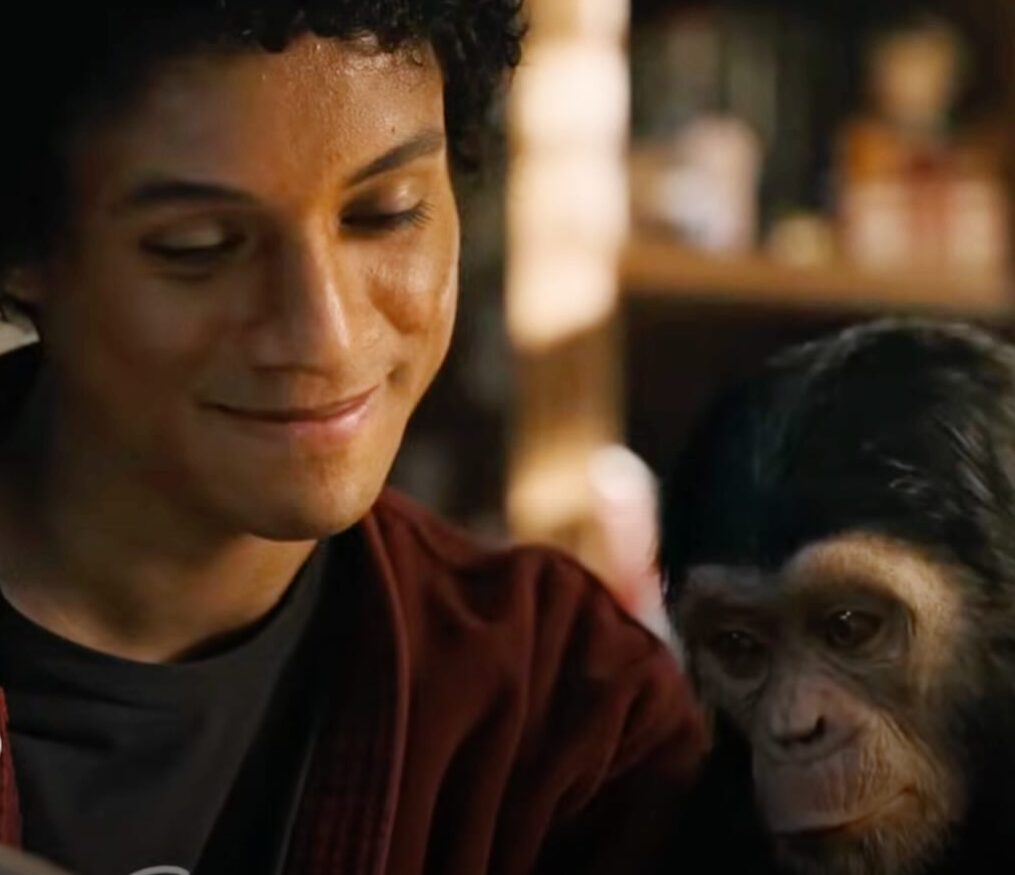 image 9 2 - Michael | Chimpanzé do Rei do Pop está vivo até hoje; Veja como ele está!