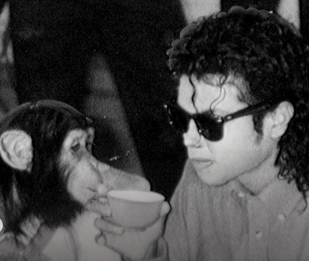 image 9 3 - Michael | Chimpanzé do Rei do Pop está vivo até hoje; Veja como ele está!