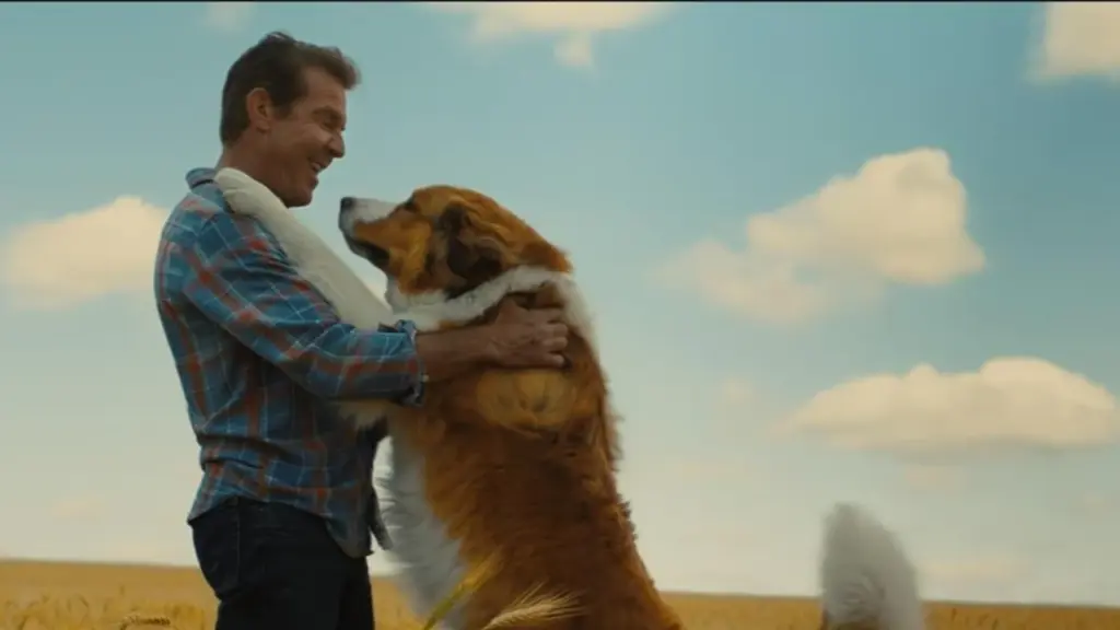 juntos para sempre filme sessao da tarde