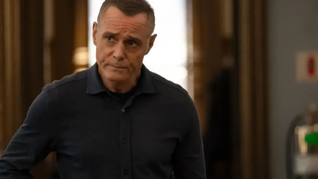 Chicago PD 14 temporada serie erro