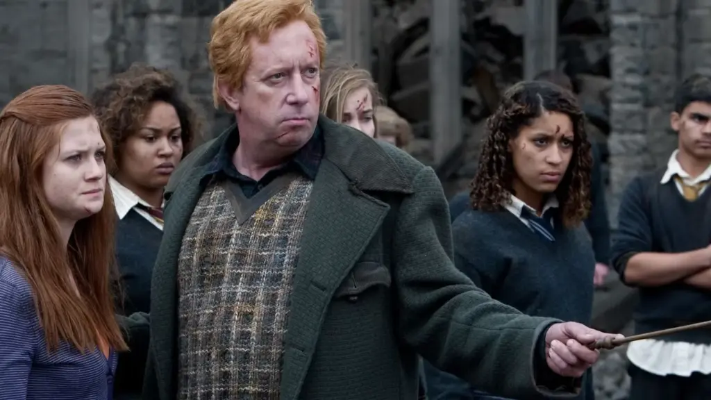 Harry Potter elenco