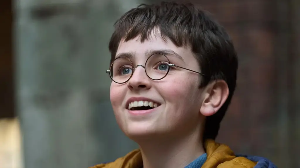 Harry Potter serie problema dos filmes