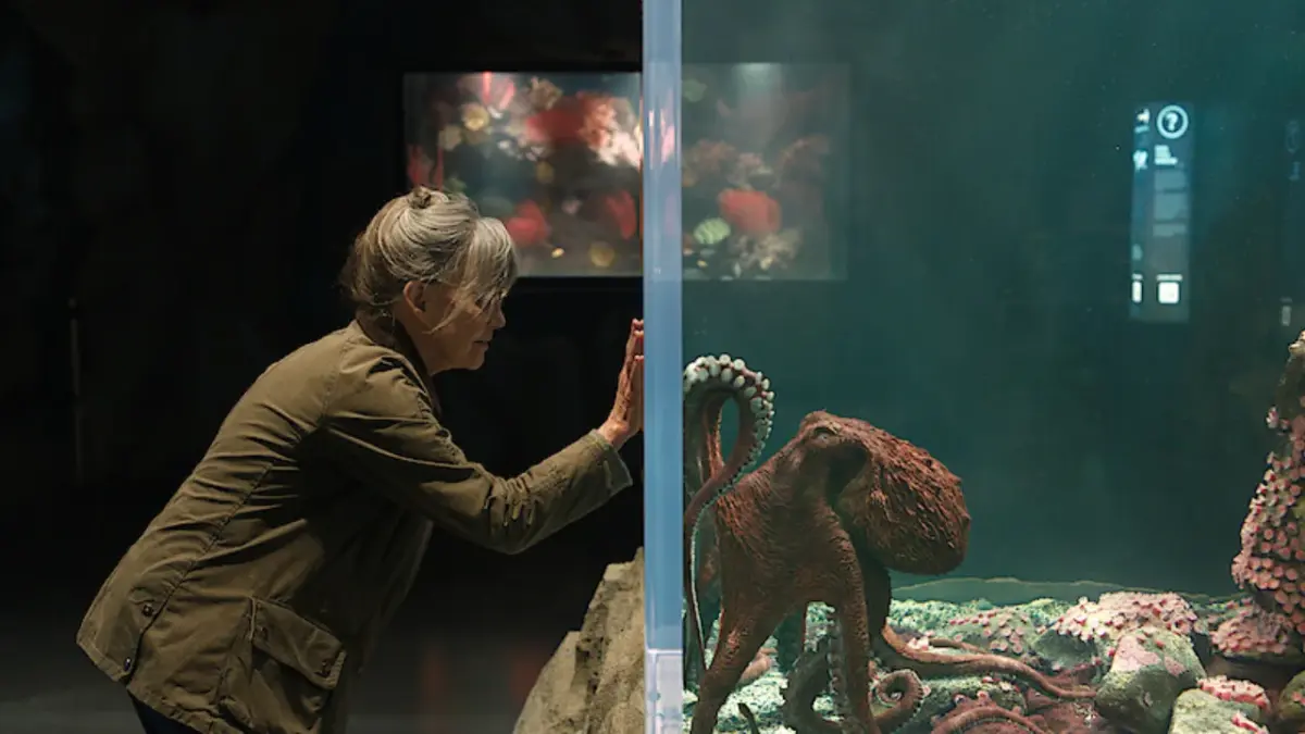 Criaturas Extraordinariamente Brilhantes é bom? Vale assistir o filme Netflix? - 7 filme criaturas extraordinariamente brilhantesfilme criaturas extraordinariamente brilhantes