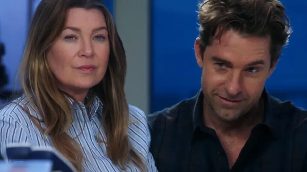 grey's anatomy 23 temporada casamento meredith