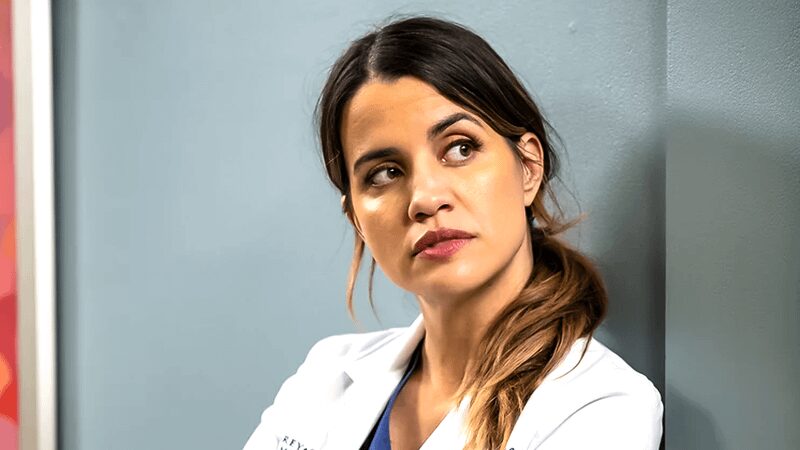 Grey’s Anatomy confirmou 4 saídas importantes antes da 23ª temporada - 2 image 3 8 - Grey’s Anatomy confirmou 4 saídas importantes antes da 23ª temporada