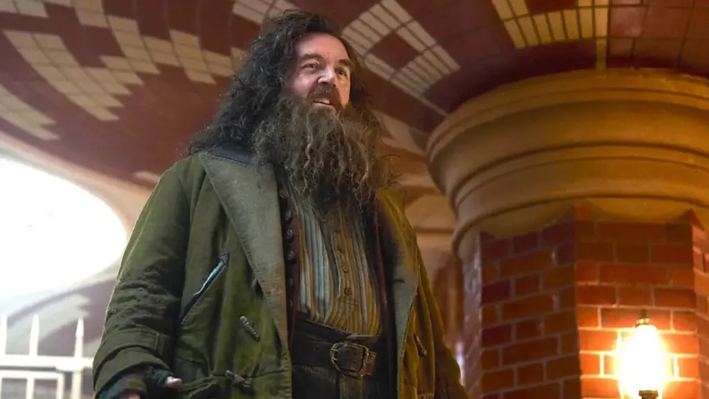harry potter mudanca personagem
